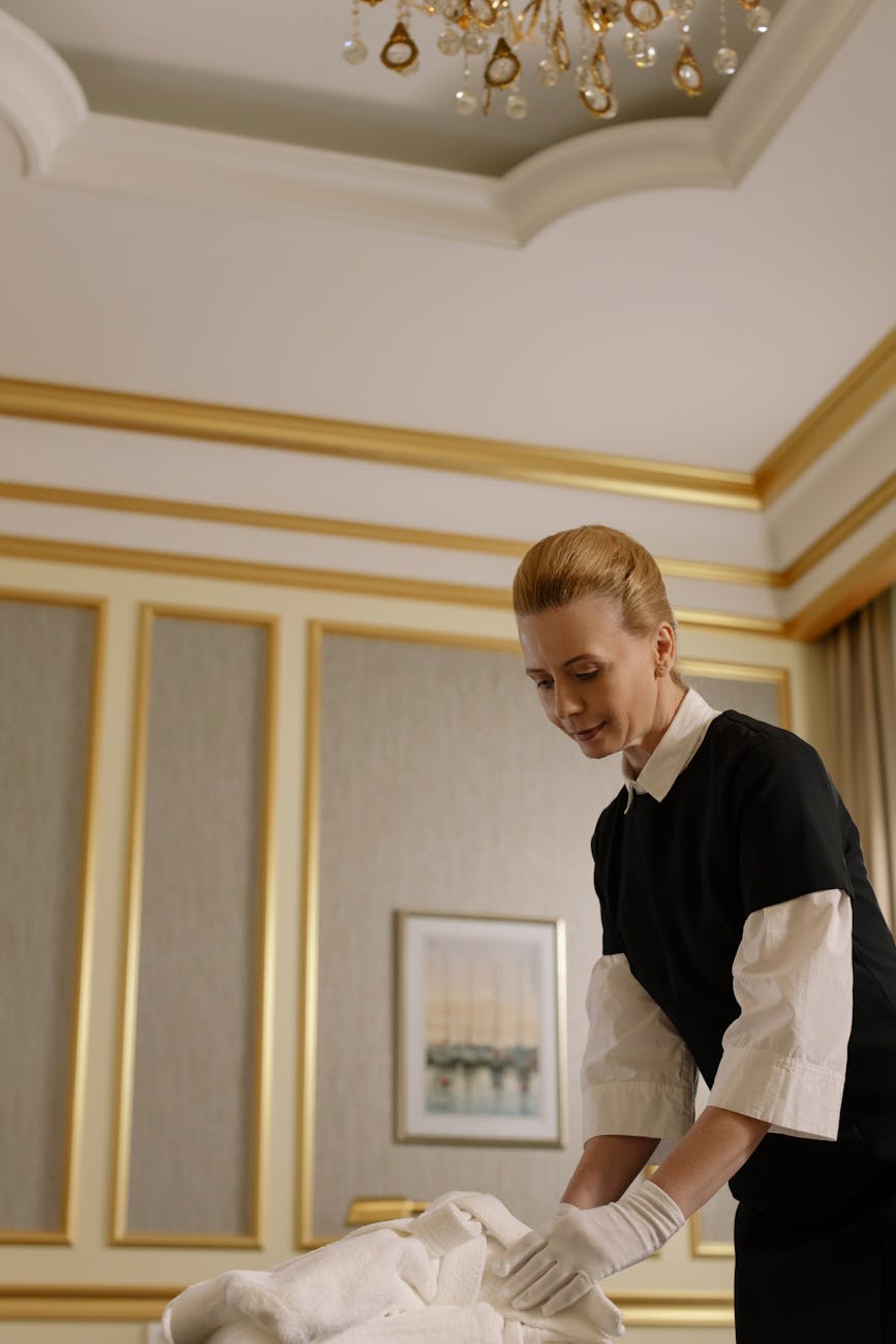 Illustration of Spugne per Hotel: Guida Cruciale per la Scelta Perfetta.